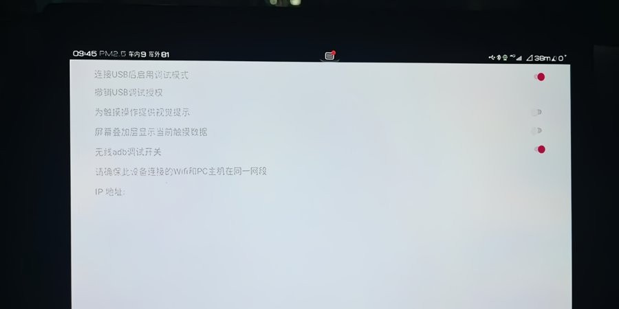 比亚迪无线adb开关车机版(BYD开发工具)截图1
