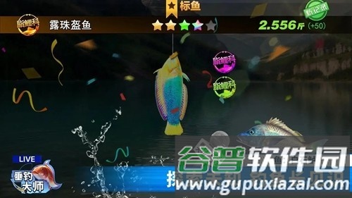 垂钓大师去广告版截图4