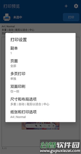 NokoPrint中文版截图1