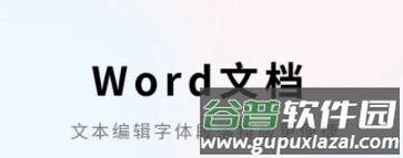 Word文档1