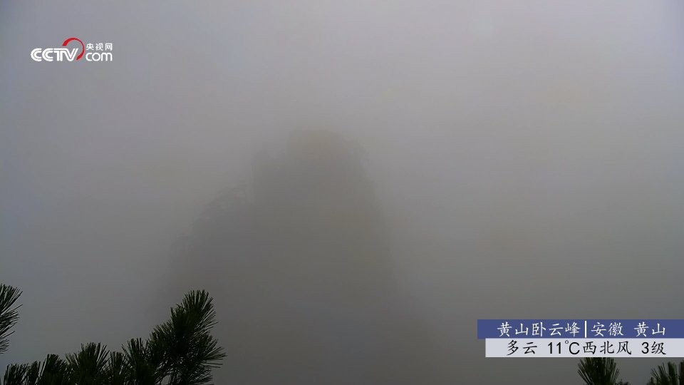 秒看tv软件电视版截图2