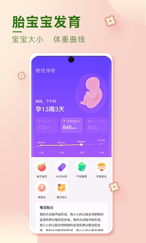 她抚孕育app