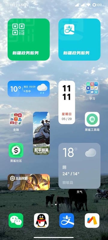黑鲨工具箱手机版app截图1