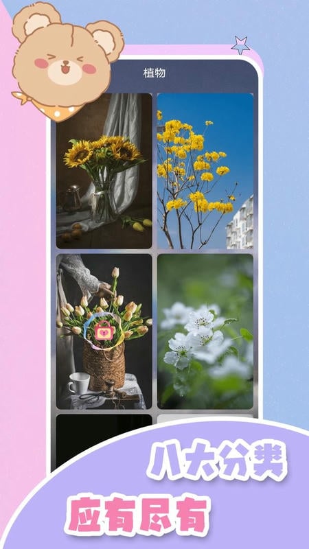 元气小熊壁纸最新版截图3