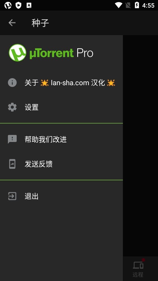 bittorrent pro中文版截图2