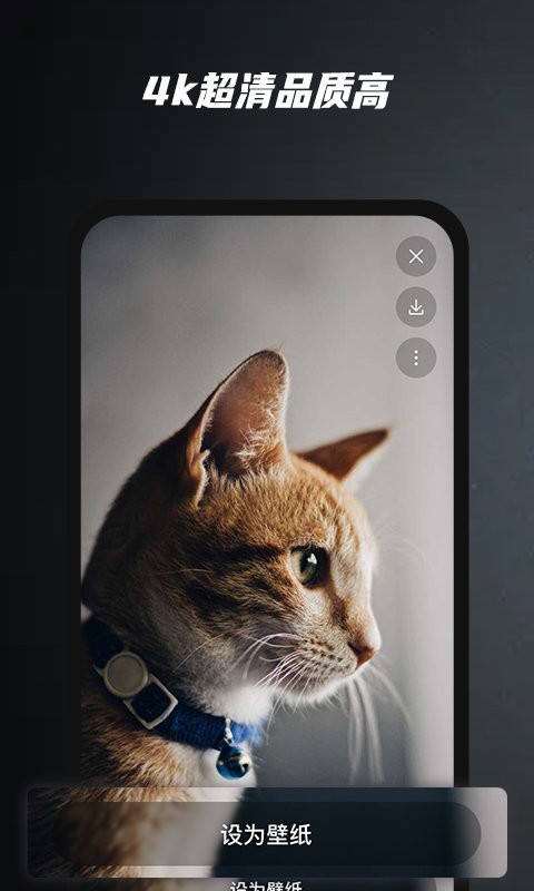 手机ai壁纸截图1
