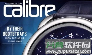 calibre中文版图片1