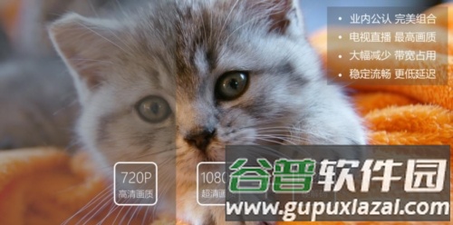 gotv官方版图片2