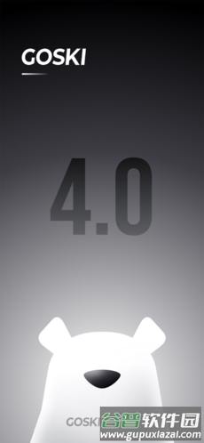 GOSKIapp截图1