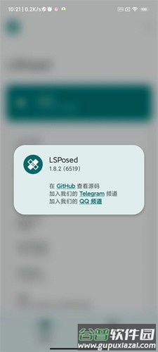lsposed app截图5