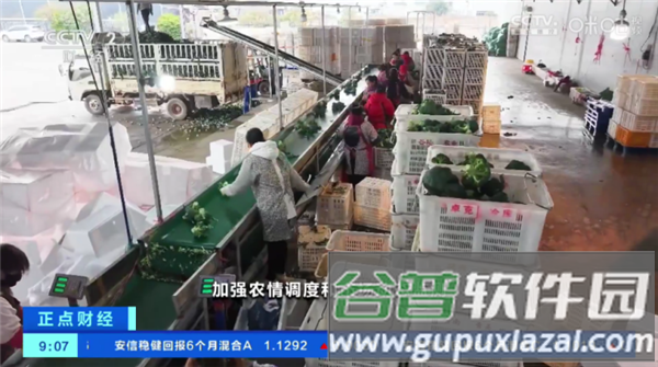 榴芒电视最新版截图3