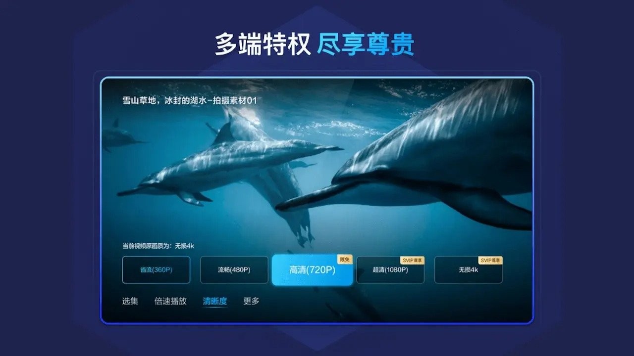 百度网盘电视版截图1