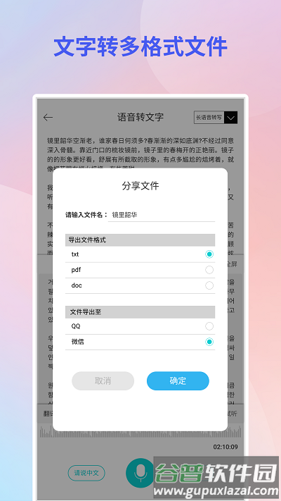 音频转文字翻译官软件截图4