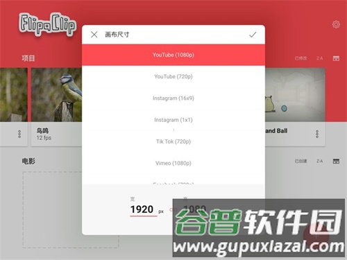 FlipaClip中文版新建项目教程4