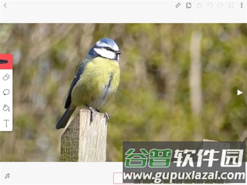 FlipaClip中文版建立图层教程4