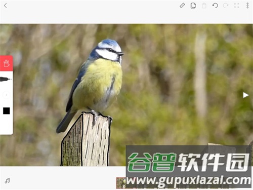 FlipaClip中文版建立图层教程6