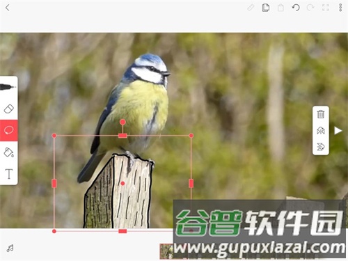 FlipaClip中文版建立图层教程7