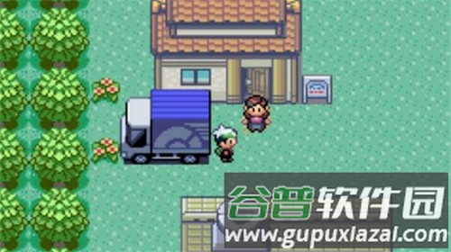 精灵宝可梦绿宝石截图2