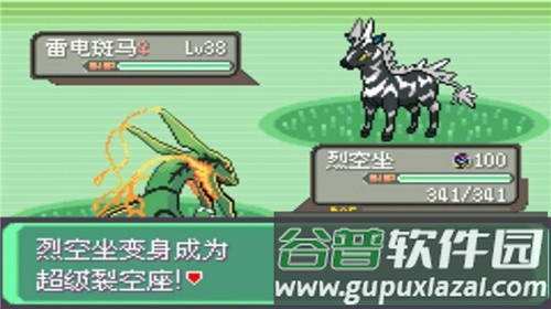 精灵宝可梦绿宝石截图3