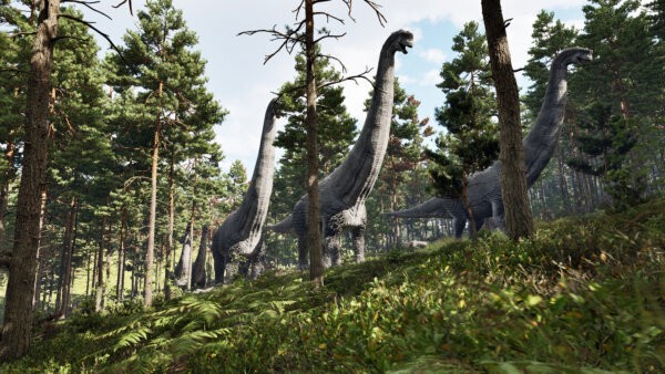 龙岛异兽(手机版)阿乐同款截图1