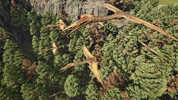 龙岛异兽(手机版)阿乐同款截图2