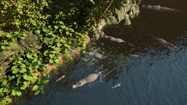 龙岛异兽(手机版)阿乐同款截图3