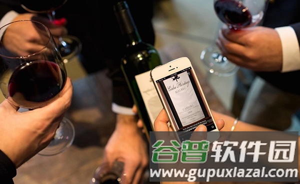 Vivino app