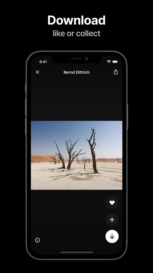 unsplash中文版截图1