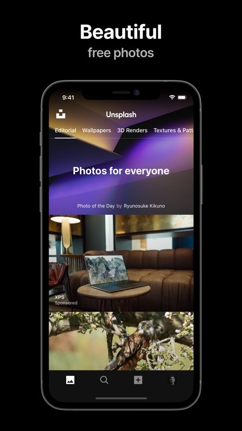 unsplash中文版截图2