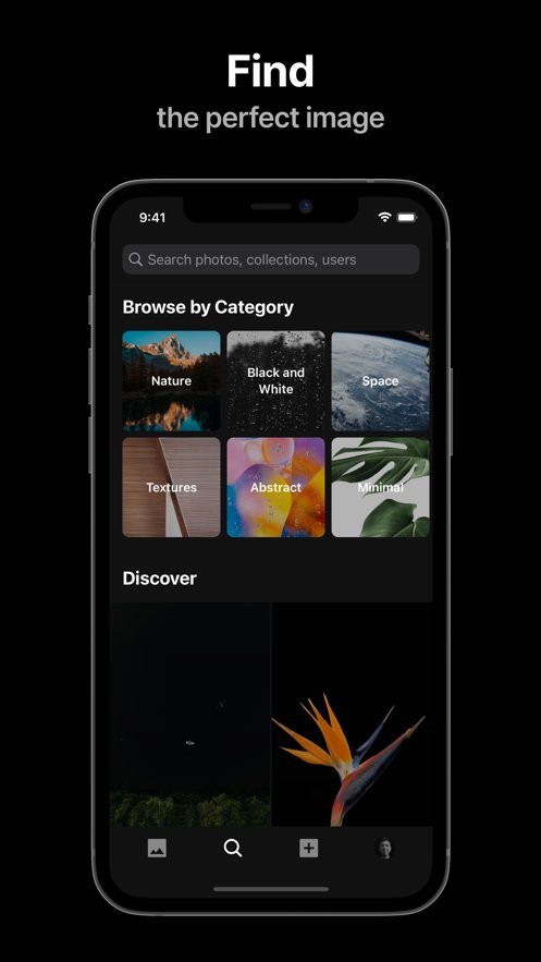 unsplash中文版截图4