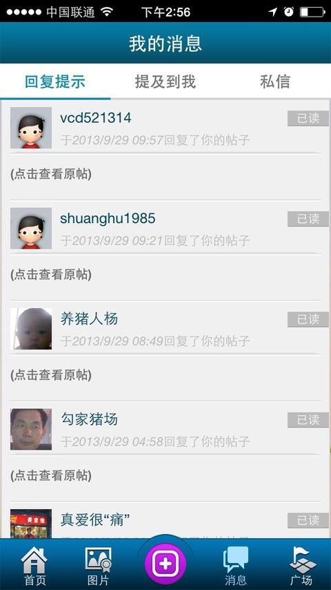 猪猪论坛官方版截图2