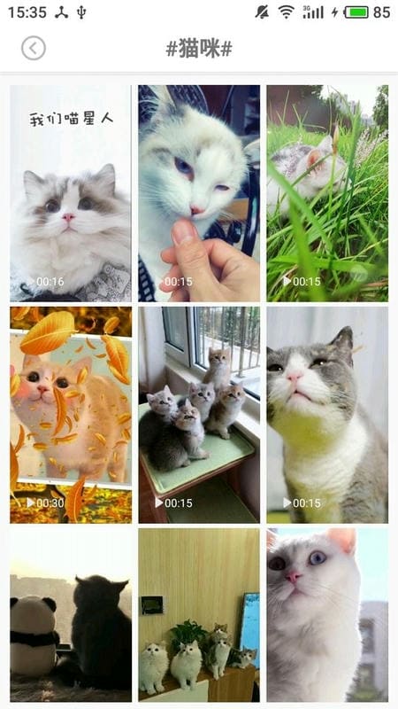壁纸头像图片大全app下载