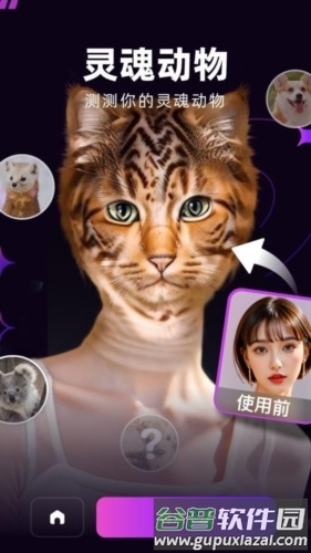 泡福最新版截图3