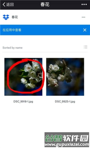 怎么下载保存图片配图2