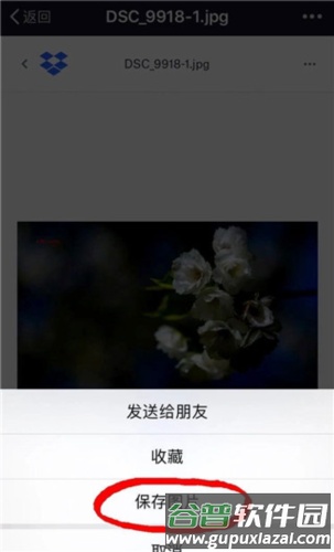 怎么下载保存图片配图4