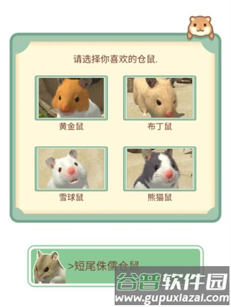 我的仓鼠游戏截图4