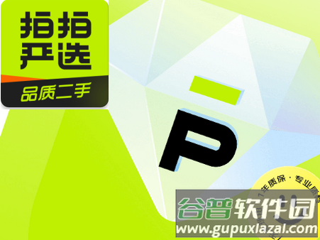 京东拍拍严选官方版