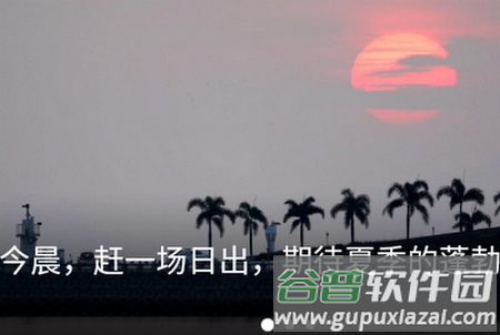 观海融媒app
