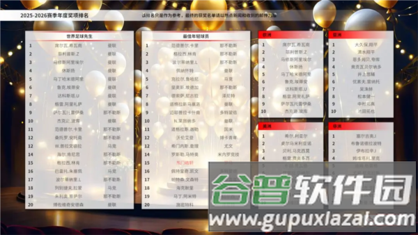 职业足球生涯21