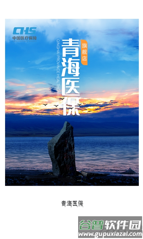 青海医保服务平台截图1