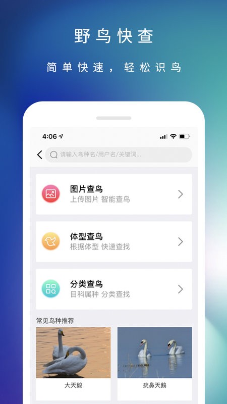 爱鸟国际网截图1
