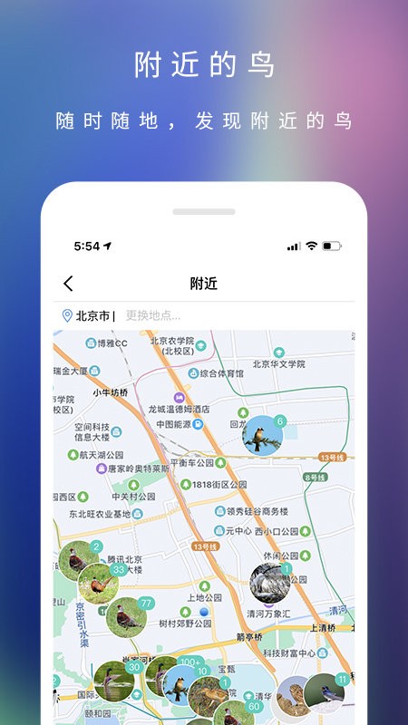 爱鸟国际网截图2