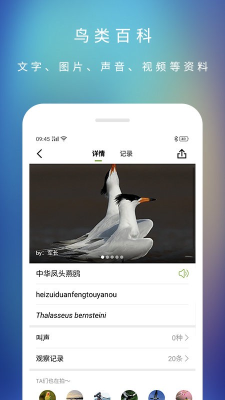 爱鸟国际网截图3