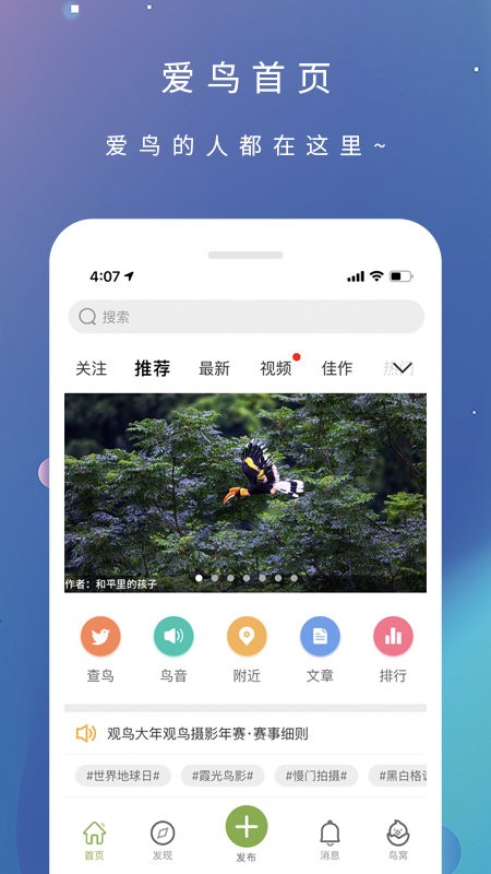 爱鸟国际网截图5