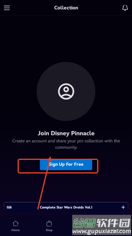 迪士尼Disney Pinnacle