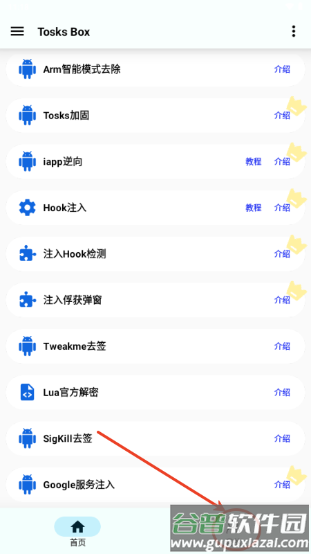 Tosks Box注入工具