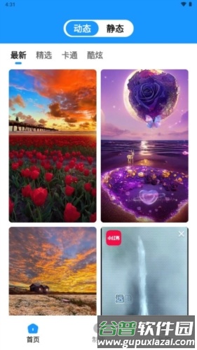 企鹅壁纸手机版截图4