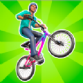 BMX特技大师3D游戏(BMX tricks master 3d)v0.1