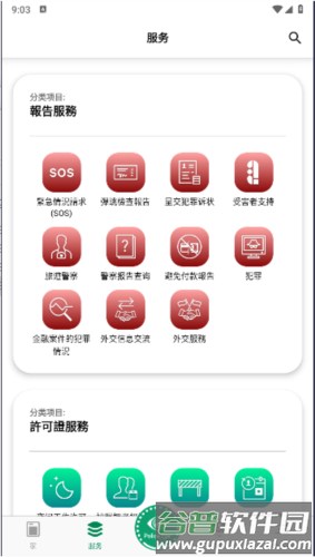 迪拜警方图片6
