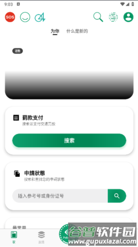迪拜警方官方手机版截图3